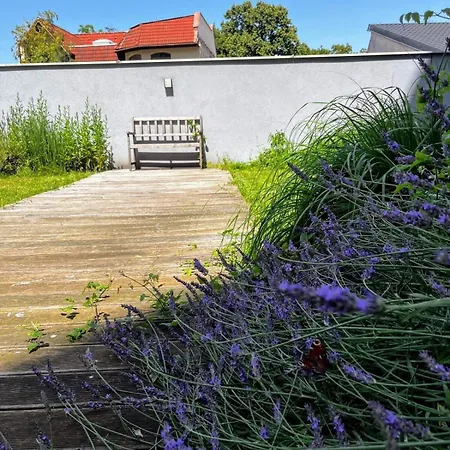 Paradise-ac&balcony 公寓